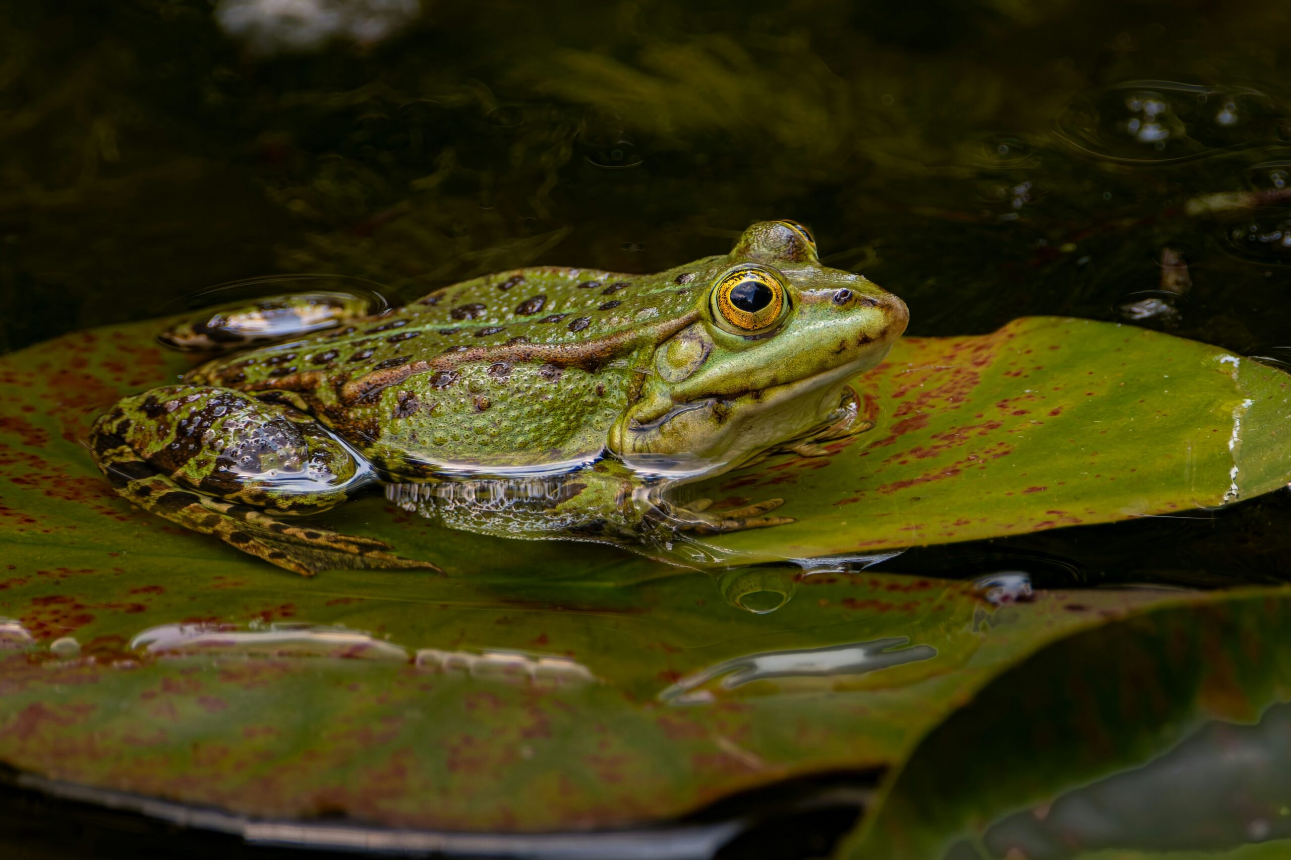 Nachhaltigkeit-Umwelt-post-image-10