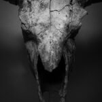 Nachhaltigkeit-Umwelt-post-image-2