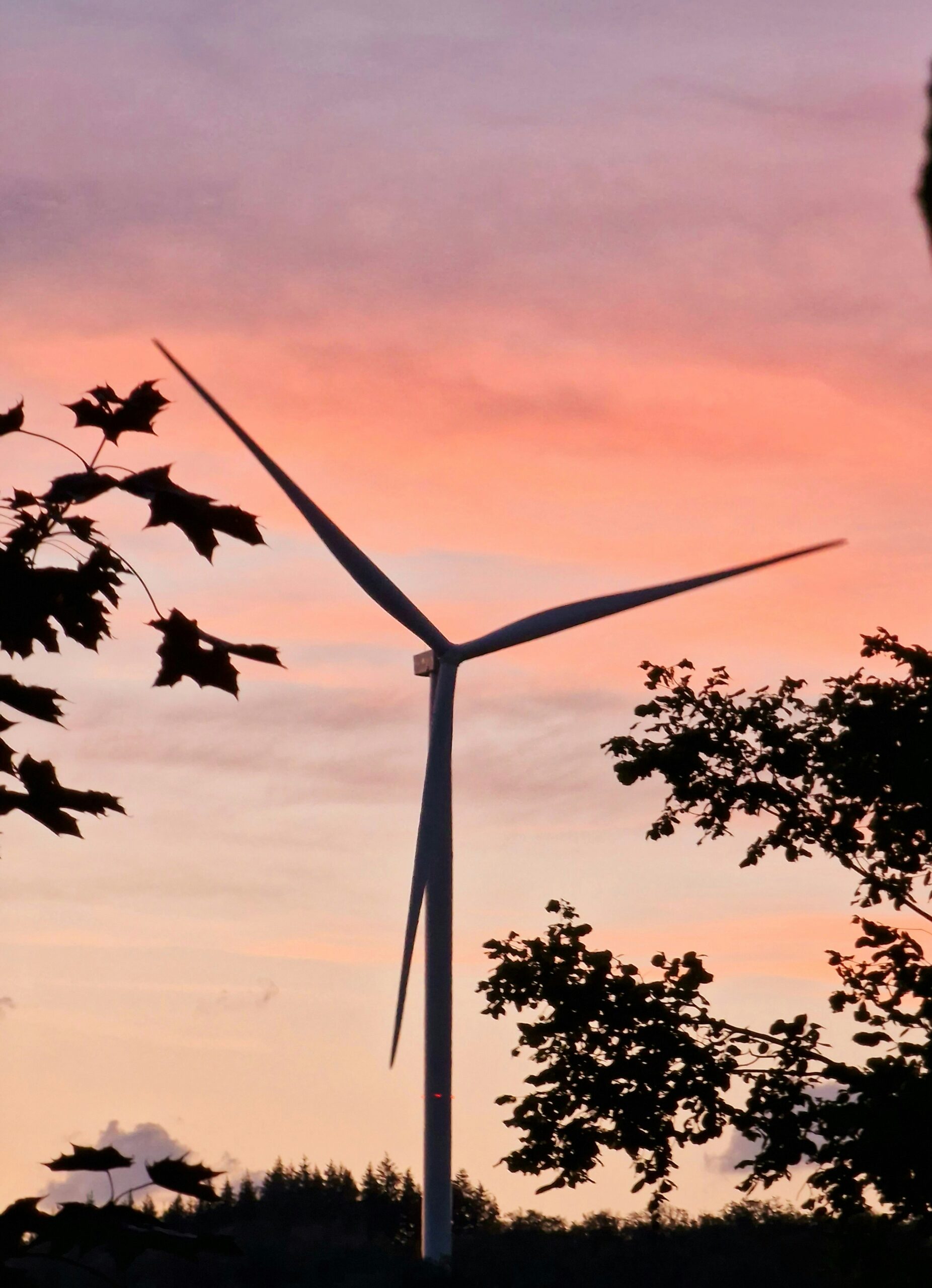 Die Vielfalt der erneuerbaren Energien erkunden