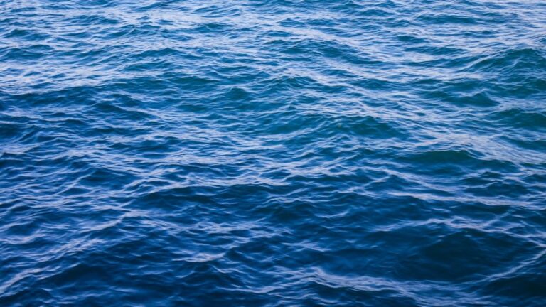 Die Bedeutung von Meeren und Ozeanen für unser Klima