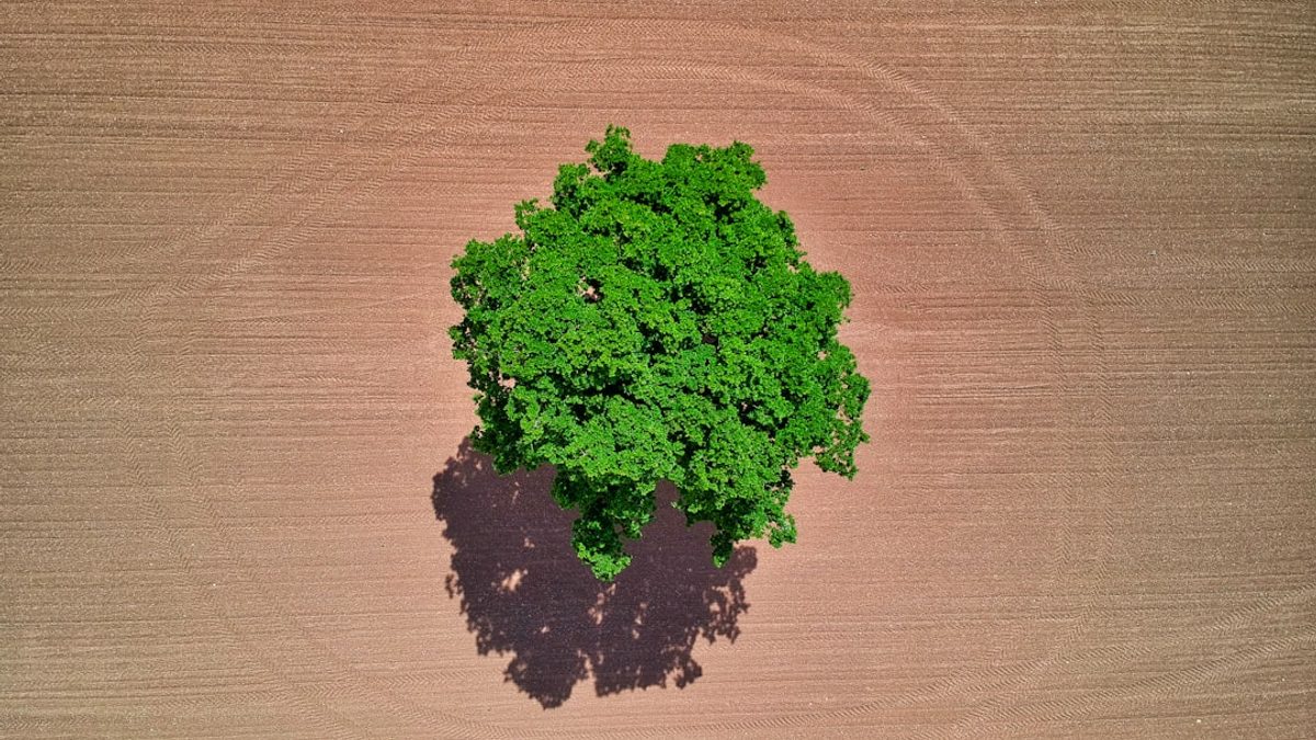 Die Geschichte des Umweltschutzes: Ein Rückblick