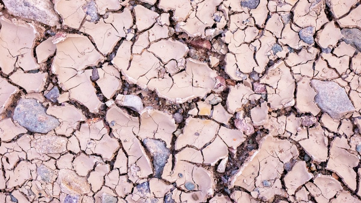 Die Herausforderung der Klimaneutralität: Wege und Möglichkeiten