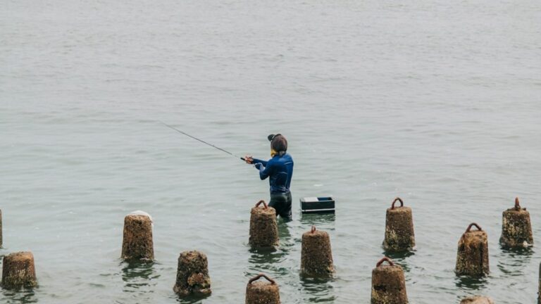 Die Herausforderung der Überfischung: Lösungen und Ansätze