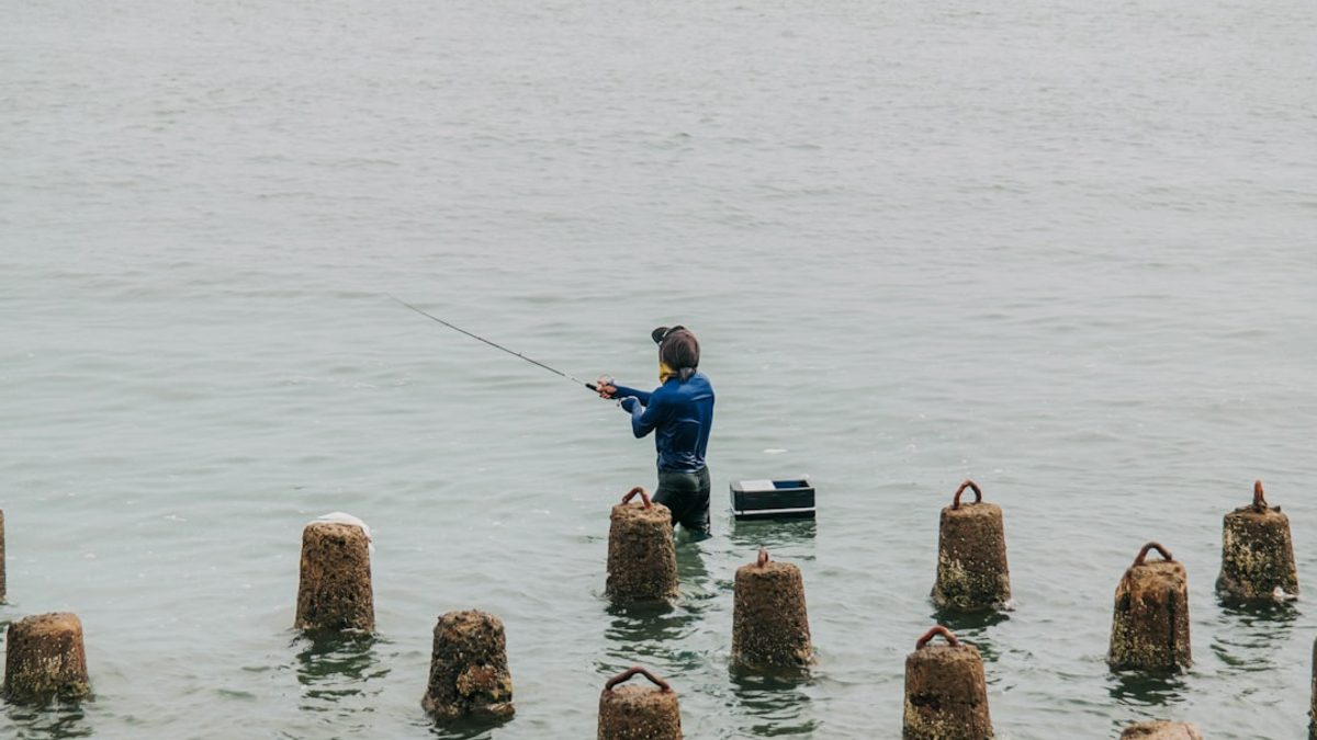 Die Herausforderung der Überfischung: Lösungen und Ansätze