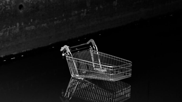 Die Macht der Konsumenten: Einfluss auf Unternehmen ausüben