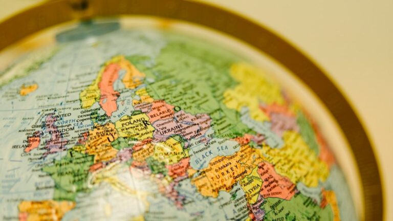 Die Rolle von NGOs im globalen Umweltschutz