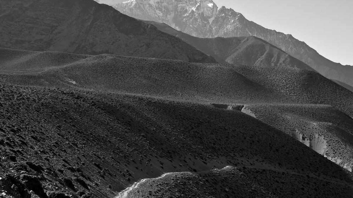 Die Vorteile von saisonalem und regionalem Essen