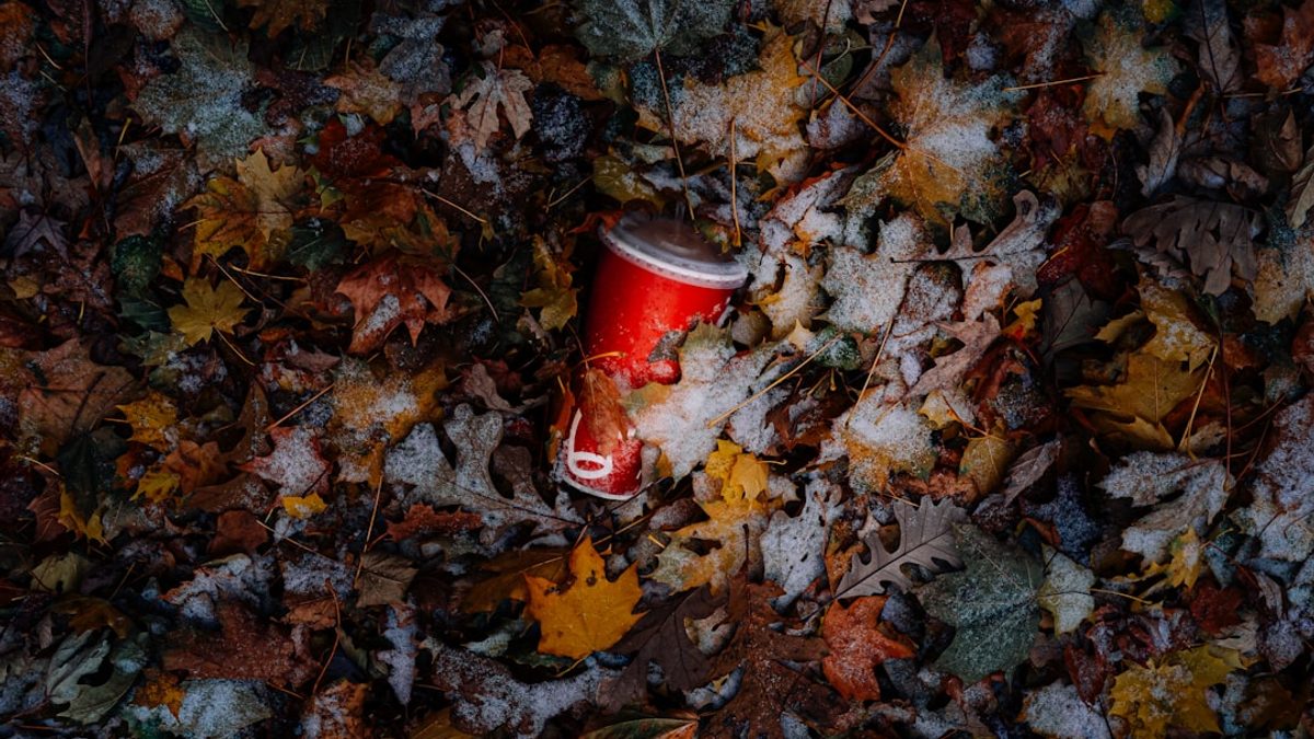 Ethischer Konsum: Verantwortungsvoll einkaufen