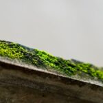 Grüne Gebäude: Nachhaltige Architektur 2025