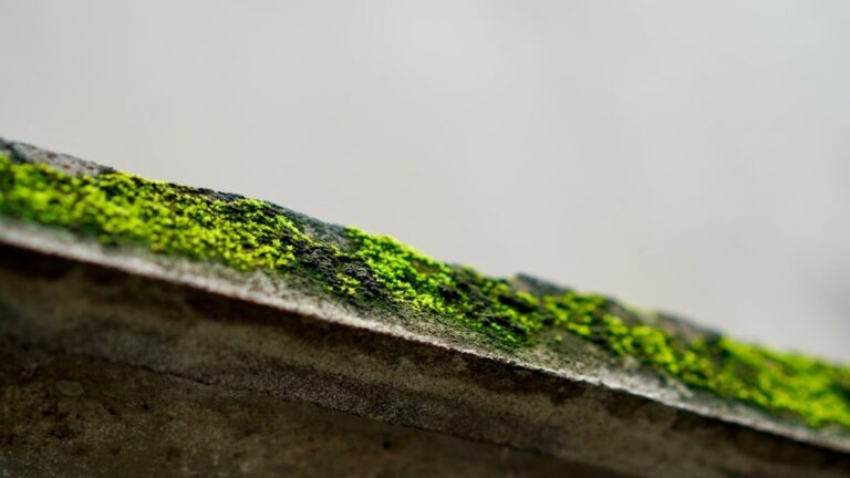 Grüne Gebäude: Nachhaltige Architektur 2025