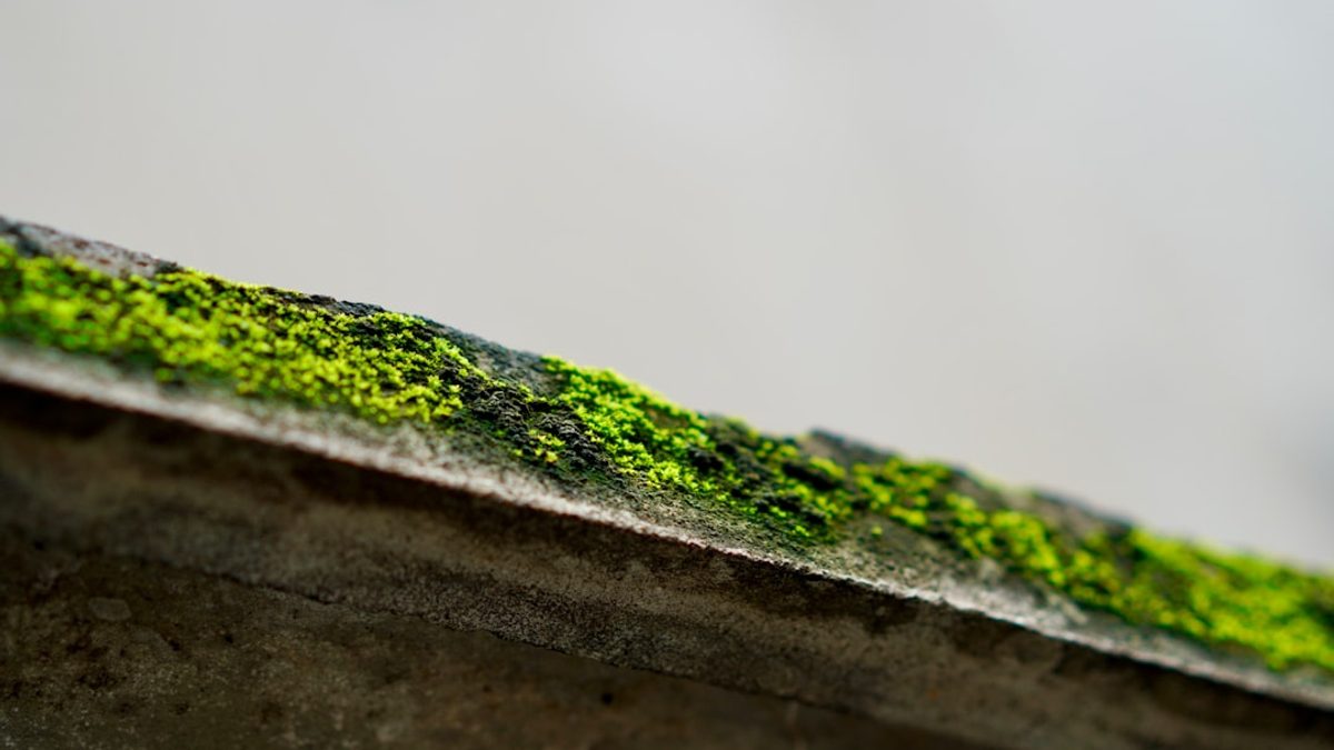 Grüne Gebäude: Nachhaltige Architektur 2025