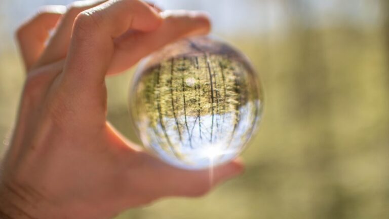 Nachhaltige Initiativen in deiner Nachbarschaft entdecken