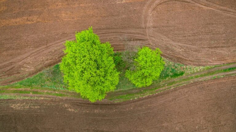 Nachhaltigkeit in der Bauwirtschaft: Zukünftige Trends
