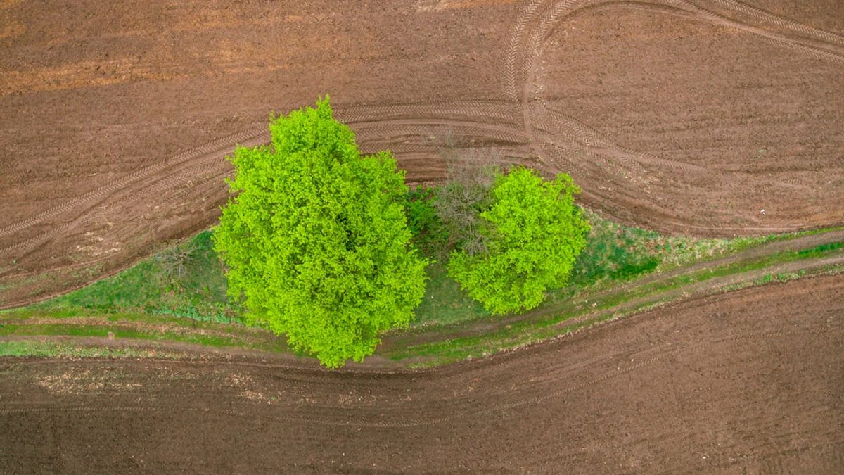 Nachhaltigkeit in der Bauwirtschaft: Zukünftige Trends