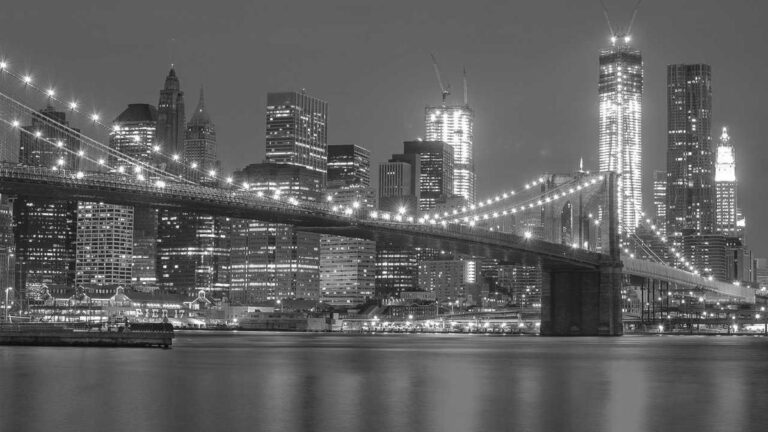 Natur und Technik vereinen: Innovative Ansätze für den Umweltschutz