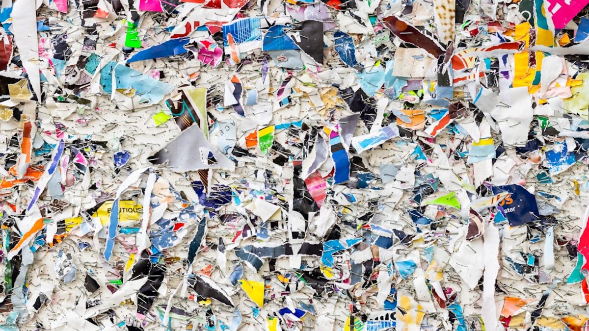 Plastikfrei leben: Praktische Tipps für den Alltag