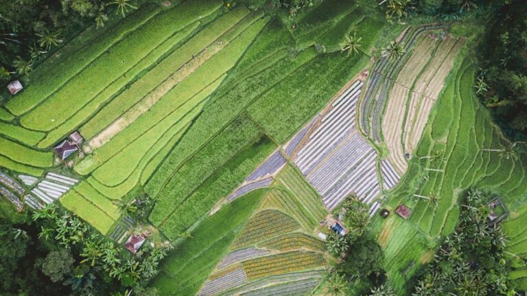 Regenerative Landwirtschaft: Böden heilen