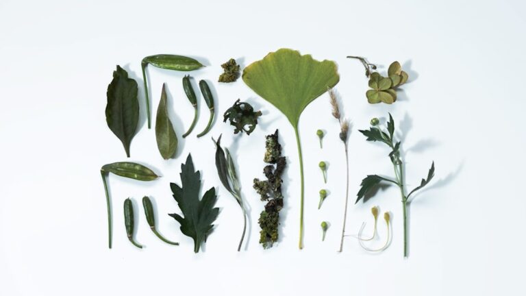 Umweltfreundliche Produkte: Wie sie unseren Alltag verändern