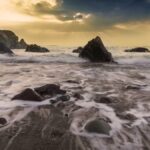 Urban Gardening: Grün in der Stadt