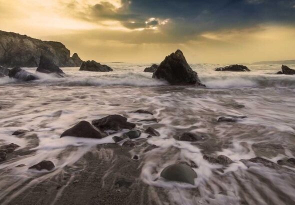 Urban Gardening: Grün in der Stadt