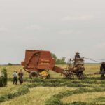 Zero Waste Küche: Kochen ohne Abfall