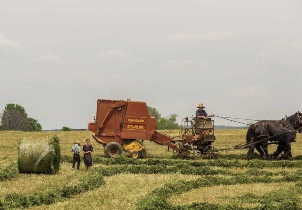 Zero Waste Küche: Kochen ohne Abfall